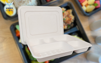 Lunch Box Bagasse Sekat 5