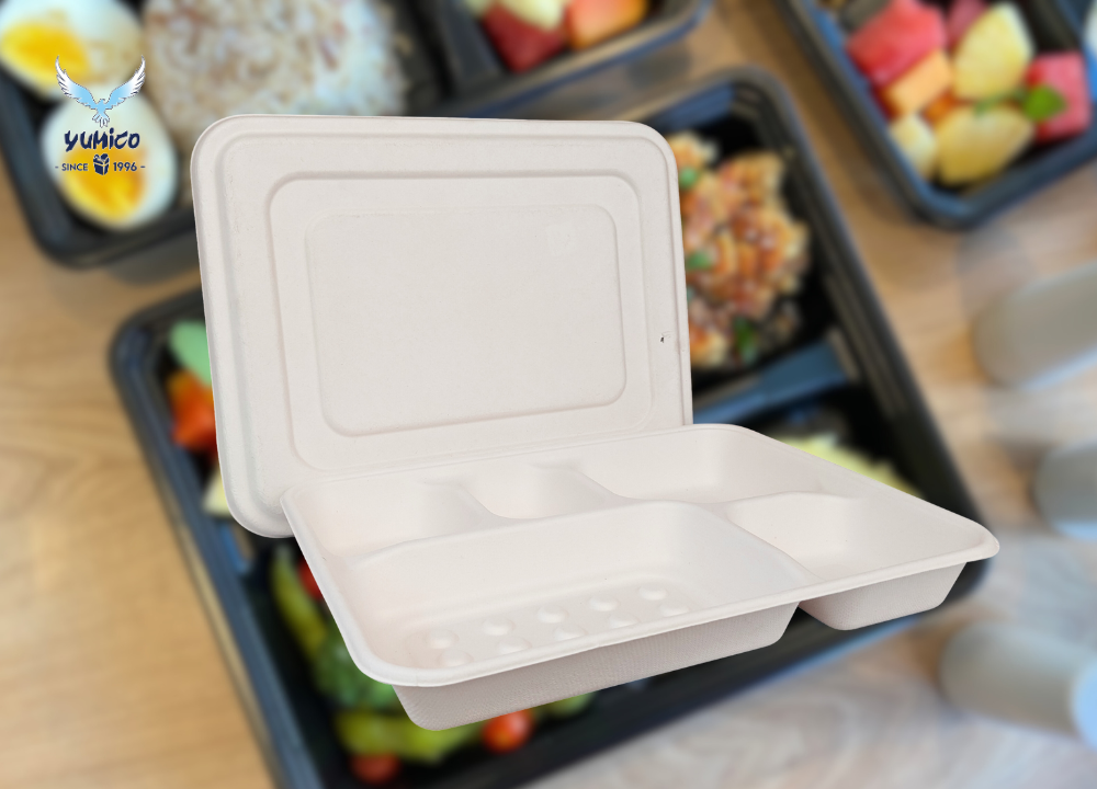 Lunch box bagasse sekat 5